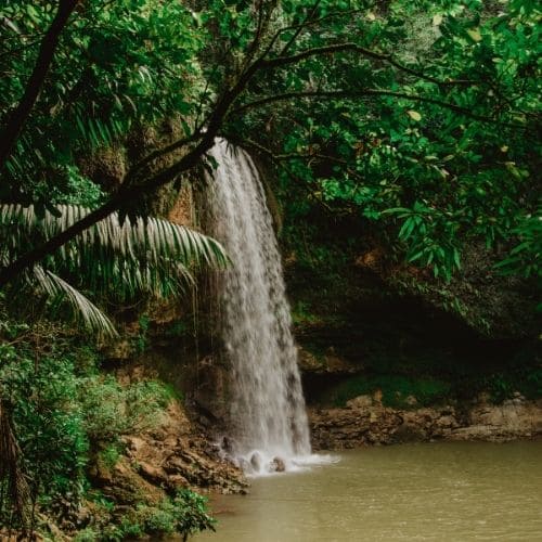 Viaje organizado republica dominicana